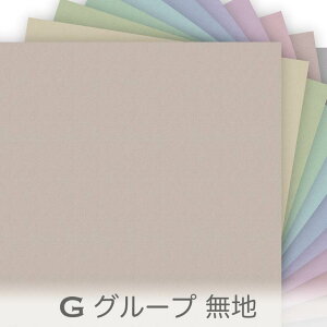 vgn GO[v GKgJ[ 0125g IbNXn n plane Jgi[W z 0125an ݃J[  IbNXn V[`O u[h x̔~_(ev) _uK[[ {