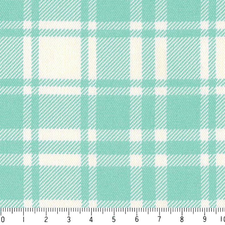 楽天市場 Check On Check チェック オン チェック柄 生地 おしゃれ オックス生地 77 37 アクアグリーン 緑 グリーン かわいい ティファニーブルー 10cm単位 やや厚手 生成りオックス生地 綿100 110cm 布 入園入学 クッション エプロン バッグ カルトナージュ生地 手芸 楽天市場 Check On Check チェック オン チェック柄 生地 おしゃれ オックス生地 77 37 アクアグリーン 緑 グリーン かわいい ティファニーブルー 10cm単位 やや厚手 生成りオックス生地 綿100 110cm 布 入園入学 クッション エプロン バッグ カルトナージュ生地 手芸
