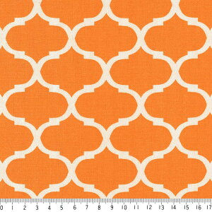 bJ 5.5cm lK 7435-54 IW _}XN bR n  킢 10cmP  IbNX n z  100 110cm z@Jgi[W fRp[W obO Ce