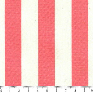 ストライプ 18ミリ st1818-56 コーラルピンク 太め おしゃれでかわいい ストライプ ボーダー柄 ピンク かわいい 女の子 10cm単位 やや厚手 生成りオックス生地 綿100% 110cm 布 カルトナージュ デ