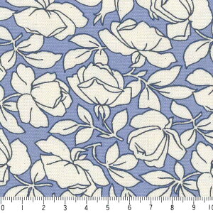 d̃o 5410-58 u[ ԕ n  IbNXn 10cmP ؂蔄 IbNX n z  100 110cm z