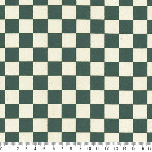 1.6cm s͗l 7945-75 _[NO[ `FbJ[tbO  O[ 10cmP  IbNX n z  100 110cm z@w e[uNX Gv obO 