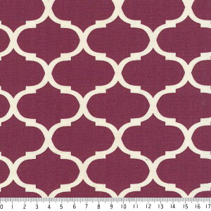 bJ 5.5cm lK 7435-84 _[N{h[ _}XN bR n  p[v 10cmP  IbNX n z  100 110cm z@Jgi[W fRp[W obO 