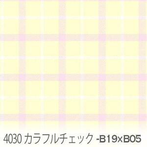 Jt`FbN n ~XeB[Y x pXeCG[ 4030-b19xb05 킢`FbN ano IbNXn V[`O u[h 11z nvn _uK[[ XPAn { n 
