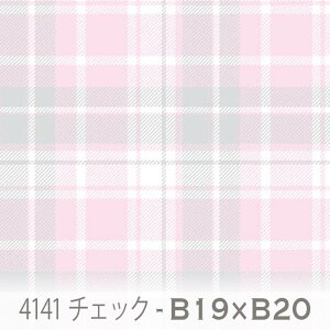 `FbN n ~XeB[Yib19j|y[O[ib20j 4141-b19xb20 킢}`J[̃`FbN IbNXn V[`O u[h 11z nvn _uK[[ { n z