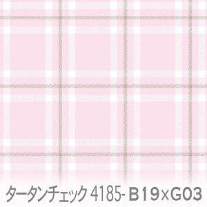 ^[^`FbN n ~XeB[Y x O[Wn 4185-b19xg03 킢}`J[̃`FbN IbNXn V[`O u[h 11z nvn _uK[[ XPAn 