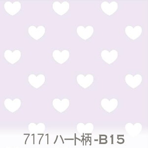 n[g 长ij zCgx_[ 7171-b15 n[g 长 IbNXn V[`O u[h x̔~_(ev) nvn _uK[[ { n z  100% 10cmP Jbg
