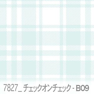 `FbNEIE`FbN zCgANAib09j 7827-b09 `FbNd˂Ĕzu  IbNXn V[`O u[h 11z nvn _uK[[ { n z  100