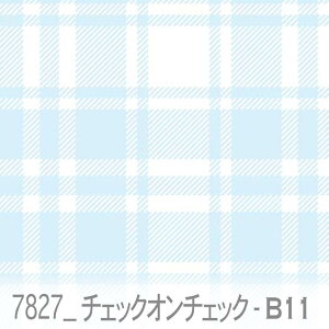 `FbNEIE`FbN zCgVA 7827-b11 `FbNd˂Ĕzu  IbNXn V[`O u[h 11z nvn _uK[[ { n z  100% 10cmP