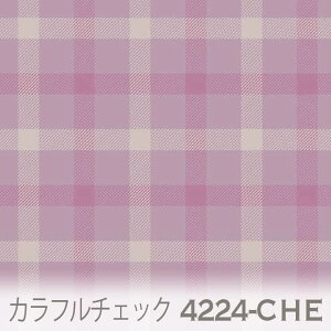 `FbN n `F[ubVichej 4224-che ȃ}`J[̃`FbN IbNXn V[`O u[h 11z nvn _uK[[ XPAn { n z 