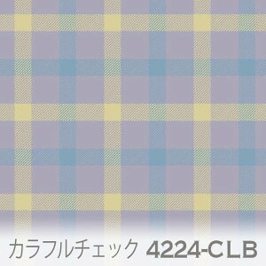 `FbN n Z[lu[iclbj 4224-clb ȃ}`J[̃`FbN IbNXn V[`O u[h 11z nvn _uK[[ XPAn { n z 