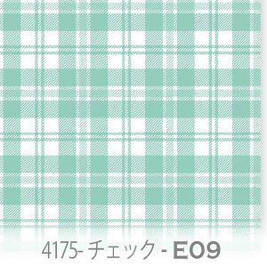 ^[^`FbN n ANAO[ie09j 4175-e09 킢`FbN eBt@j[u[ ~gIbNXn V[`O u[h 11z nvn _uK[[ XPAn {