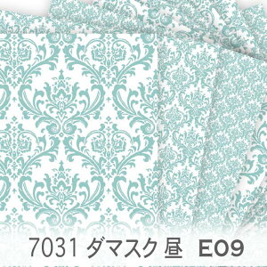 _}XN  ANAO[ 7031-e09 _}XN  7031 IbNXn  n eBt@j[u[ ~gO[ IbNXn u[h nvn _uK[[ XPAn {