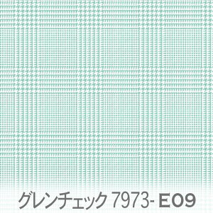 O`FbN ANAO[ie09j 7973-e09 eBt@j[u[ ~gO[ IbNXn V[`O u[h 11z nvn _uK[[ { n z  100% 10cmP