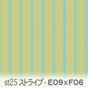 ST25XgCv n ANAO[ie09j|Cif06j st25-e09xf06 st25 ʐϔ䗦 25F75% ̃XgCvn IbNXn V[`O u[h x̔~_(ev) nvn _uK[[ {