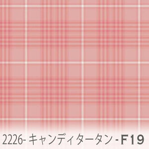 LfB^[^ n R[sNif19j 2226-f19 킢J[̃`FbN R[sN IbNXn V[`O u[h 11z nvn _uK[[ XPAn {
