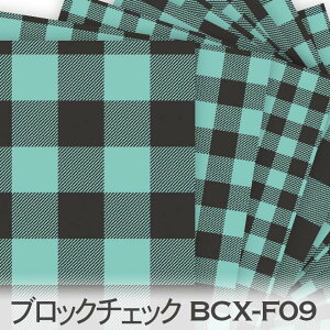 ubN`FbN x N V[OXif09j bcx-f09 ł킢MK`FbN n IbNXn V[`O u[h 11z nvn _uK[[ XPAn { n 