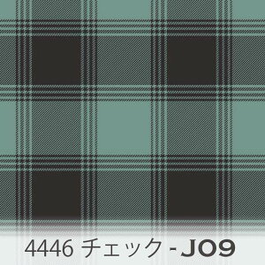 ^[^`FbN@N [tO[ij09j 4446-j09 Vvȃg[̃`FbN ݃J[  IbNXn V[`O u[h 11z nvn _uK[[ XPA