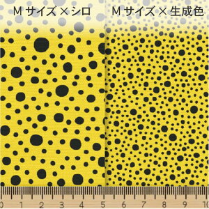 召 CG[ x X[NubN 1109-k05xn20 a _hbg IbNXn V[`O u[h 11z nvn _uK[[ XPAn { n z  100% 10cm