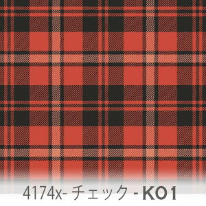 ^[^`FbN n Viubh 4174x-k01 X[NubN×J[̃`FbN   IbNXn V[`O u[h 11z nvn _uK[[ XPAn { n