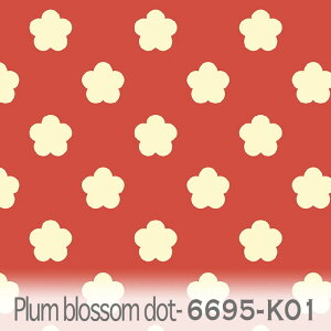 ~̉ Viubhik01j 6695-k01 a ~ n   XJ[bg IbNXn V[`O u[h x̔~_(ev) nvn _uK[[ XPAn { n z  