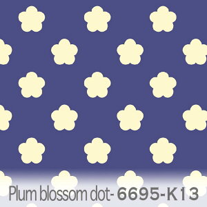 ~̉ CyAu[ik13j 6695-k13 a ~ n IbNXn V[`O u[h x̔~_(ev) nvn _uK[[ XPAn { n z  100% 10cmP Jb