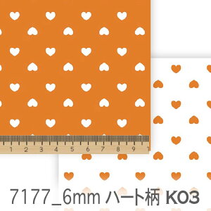 n[g IW 7177-k03 6~ n[g  ̎q IbNXn V[`O u[h 11z nvn _uK[[ { n z  100% 10cmP Jbg w p