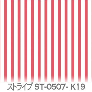 J[5mm nF7mm XgCv p[eBsNik19j st0507-k19 5~7~ ̎q n z  IbNXn V[`O u[h x̔~_(ev) nvn _uK[[ XPAn