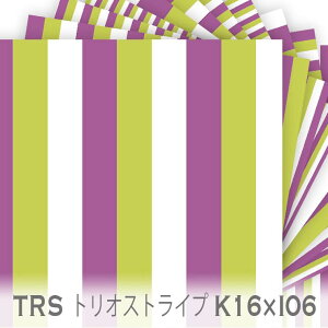 Trio StripeigIXgCvj bhp[v x AbvO[ trs-k16xi06 3FXgCv n IbNXn V[`O u[h 11z nvn _uK[[ XPAn { 