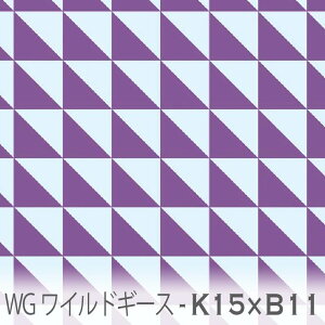 ChM[X u[oCIbg x zCgVA wg-k15xb11 Lg͗l̒ Op` 􉽊w͗l IbNXn V[`O u[h 11z nvn _uK[[ XPAn {