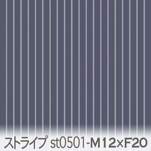 5~ × 1~ fB[vCfBS Vo[O[ st0501-m12xf20 sXgCv 5~ × 1~ ZF IbNXn V[`O u[h 11z nvn _uK[[ XPAn {