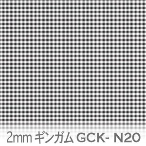 2mm MK`FbN X[NubN gck02-n20 2~ MK`FbN iq n VN IbNXn V[`O u[h 11z nvn _uK[[ XPAn { n 