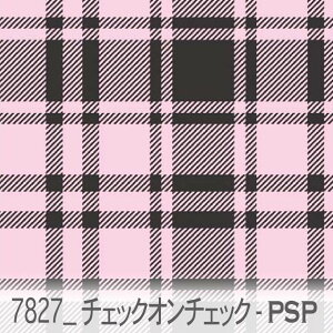 `FbNEIE`FbNi×X[NubNj pXesNipspj 7827x-psp `FbNd˂Ĕzu sN IbNXn V[`O u[h 11z nvn _uK[