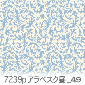 AxXN |Wij XJCu[ 7239p-49 Jgi[WɍœK IbNXn _}XN 7239pF j̎q r^~J[ ₳u[ F߃IbNXn { n z 