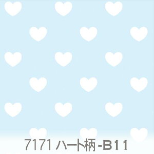 n[g 长ij zCgVA 7171-b11 n[g 长 IbNXn V[`O u[h x̔~_(ev) nvn _uK[[ { n z  100% 10cmP Jbg