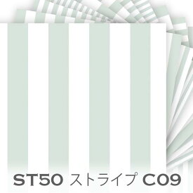 ブロックストライプ L.グレイッシュグリーン st50-c09 面積比率 50% ロンドンストライプ くすみカラー おしゃれ オックス生地 シーチング ブロード 11号帆布 ハンプ生地 ダブルガーゼ 日本製 生地 布 松尾捺染 綿100% 10cm単位 カット売り 入園入学 商用利用可