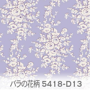 ỏԕ n CgoCIbg 5418-d13 tXn̕ KN [Y ݃J[  IbNXn V[`O u[h x̔~_(ev) nvn _uK[[ { 