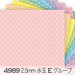 2.5~ hbgEʁij EO[v pXeGKg 4989e 2.5mm shbg ʏ 4989an IbNXn V[`O u[h x̔~_(ev) _uK[[ { n z  100