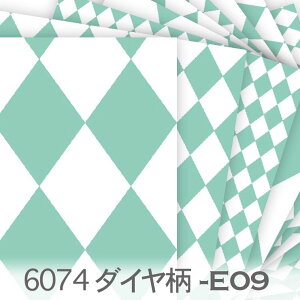 _C ANAO[ E-09n[L`FbN sG n  _ k IbNXn n z  100 V[`On 11z _uK[[ Jgi[W check z 