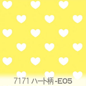 n[g 长ij  7171-e05 n[g 长 IbNXn V[`O u[h x̔~_(ev) nvn _uK[[ { n z  100% 10cmP Jbg 