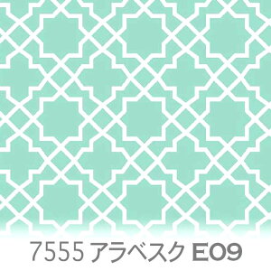 AxXN 长 ANAO[ 7555-e09 AxXÑlK bJ eBt@j[u[ ~gO[ IbNXn V[`O u[h x̔~_(ev) nvn _uK[[ 