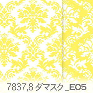 _}XN n  7837-e05 7837 IbNXn V[`O u[h x̔~_(ev) nvn { n z  100 10cmP Jbg w pp