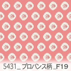 voX͗l R[sN 5431-f19 voX@tX ԕn voXn̎R╶ےfUC 5431uƏiAR[sŃ̖vIbN