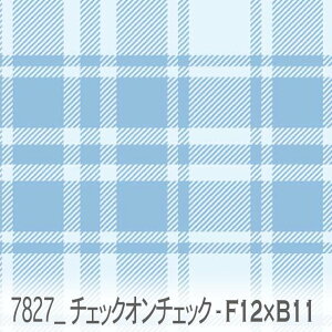 `FbNEIE`FbN XJCu[xzCgVA 7827-f12xb11 `FbNd˂Ĕzu  F j̎q ₳u[ IbNXn V[`O u[h 11z nvn {