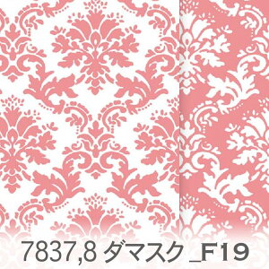 _}XN n R[sN 7837-f19 ƏiAR[sN IbNXn V[`O u[h x̔~_(ev) nvn _uK[[ { n z  10