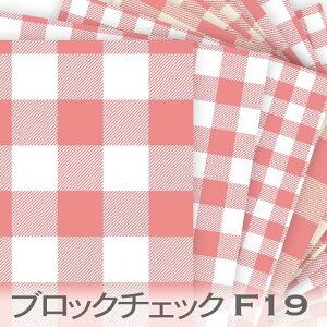 ubN`FbN 5TCY R[sN bc-f19 ł킢MK`FbN n Əi R[sN IbNXn V[`O u[h 11z nv