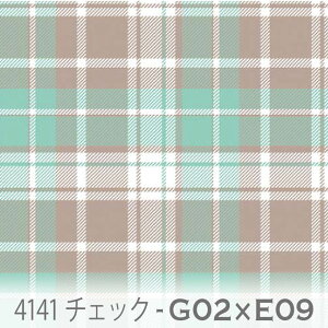 `FbN n x[WxANAO[ 4141-g02xe09 킢}`J[̃`FbN ݃J[ R  IbNXn V[`O u[h 11z nvn _uK[[ 