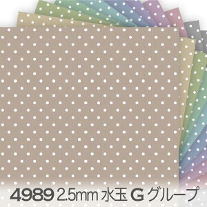 2.5~ hbgEʁij GO[v GKgJ[ 4989g 2.5mm shbg ʏ 4989an ݃J[  IbNXn V[`O u[h x̔~_(ev) _uK[[ { 
