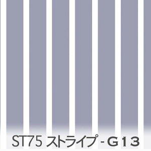 _uO[ ST75(ʐϔ75% ̃XgCv) st75-g13 XgCv n st0602 st0903 st1505 st2408 ݃J[  IbNX V[`O u[h x̔~_(ev) _uK[[ { n z 