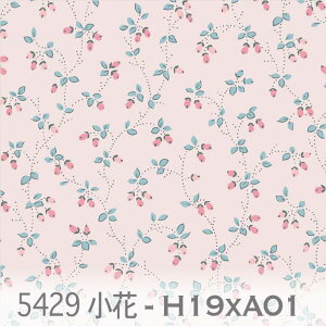 fBsNx ԕ ôڂ 5429-h19xa01 ôڂ݁@ Jgi[Wn IbNX V[`O u[h x̔~_(ev) _uK[[ n z  100 10cm